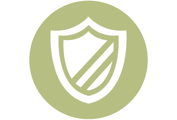 Safety shield Icon